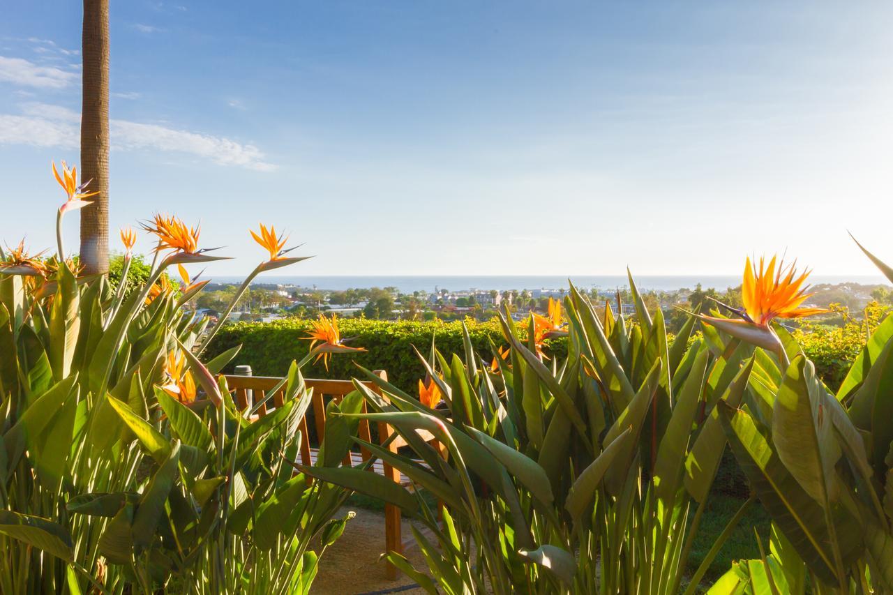 Grand Pacific Palisades Resort Carlsbad Luaran gambar