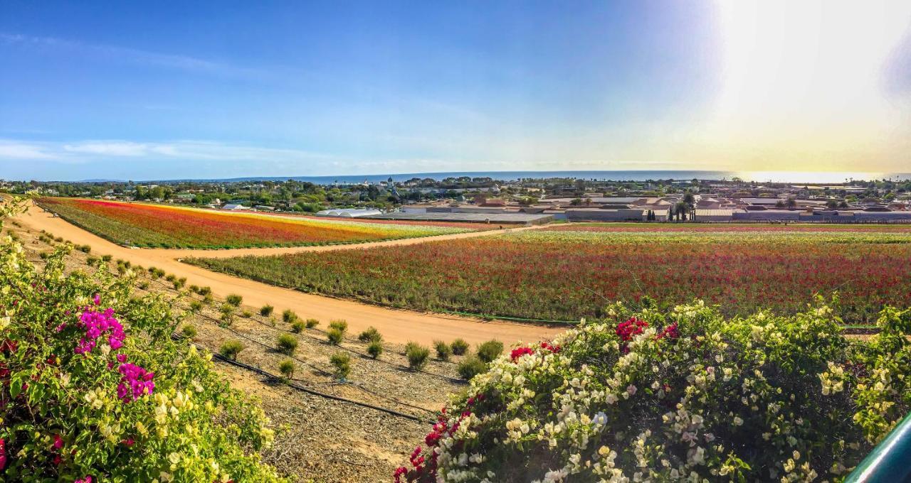Grand Pacific Palisades Resort Carlsbad Luaran gambar